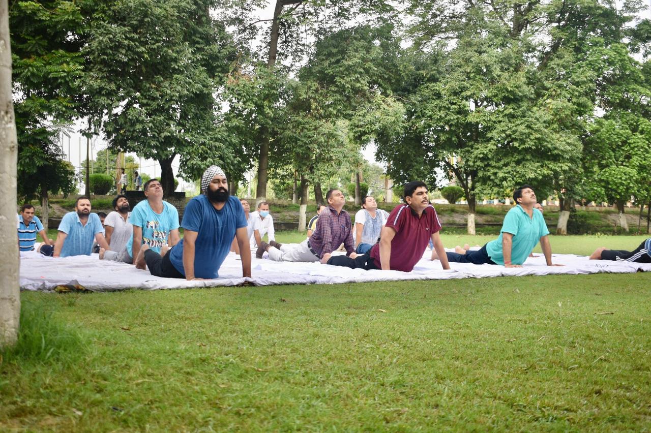 CCRYN की स्टडी में खुलासा कोरोना के उपचार में सहायक योग पांरपरिक भारतीय पद्धति , CCRYN की स्टडी में खुलासा कोरोना के उपचार में सहायक योग