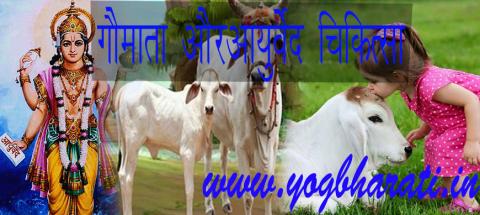 गौमाता और आयुर्वेद चिकित्सा