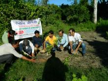 वृक्षारोपण कार्यक्रम 20 जुलाई 2017 बरेली