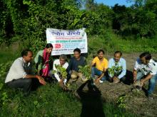 वृक्षारोपण कार्यक्रम 20 जुलाई 2017 बरेली